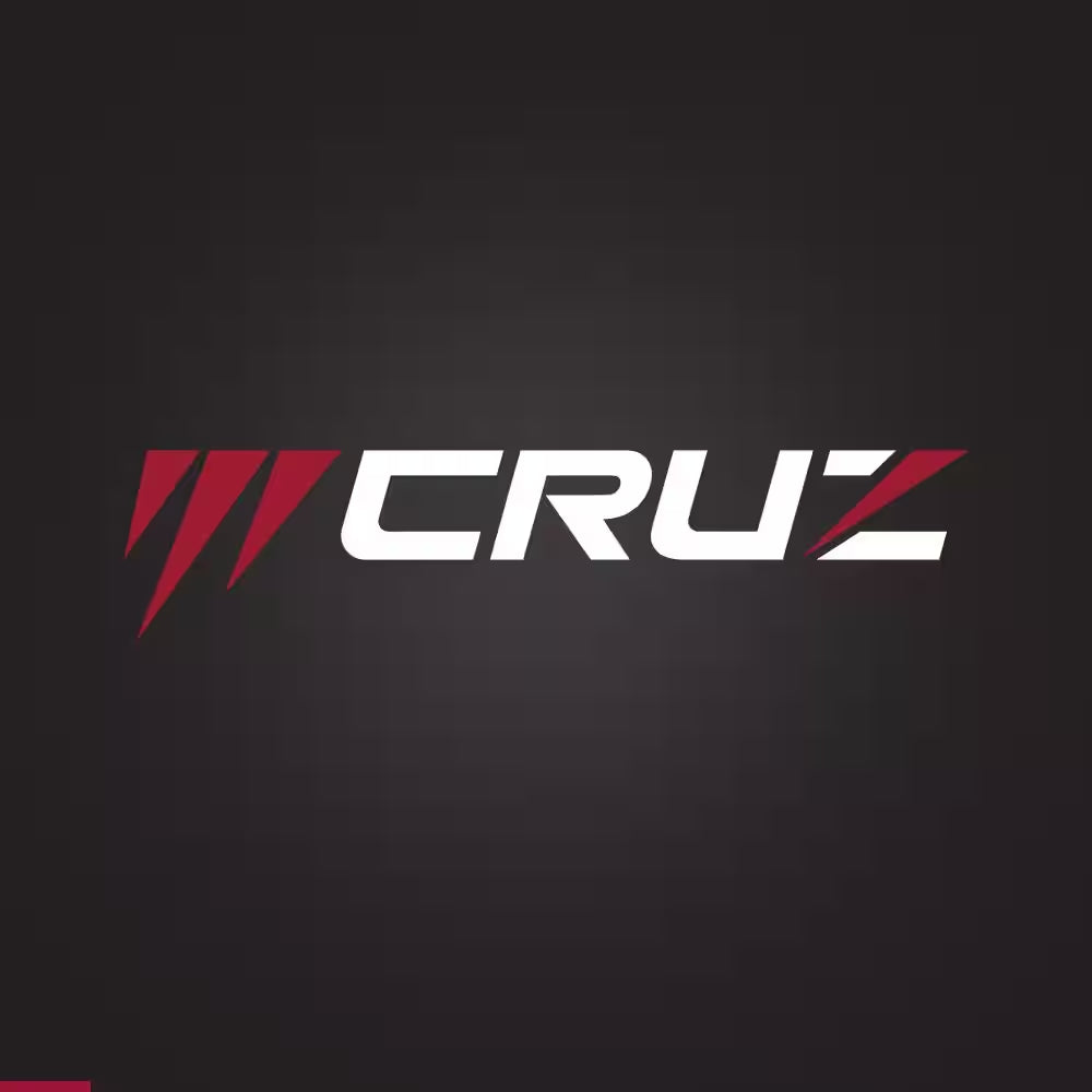 Cruz 42 In. 19.0 HP 540Cc EX1900 Series Briggs and Stratton Engine Dual Hydrostatic Drive Gas Zero Turn Mower